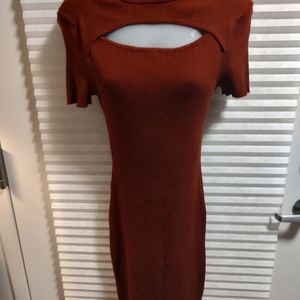 Rust Short Sleeved Stretchy Dress